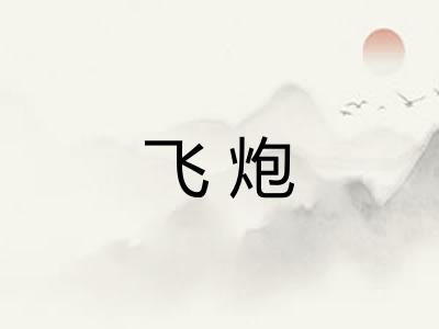 飞炮 飞炮