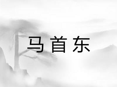 马首东