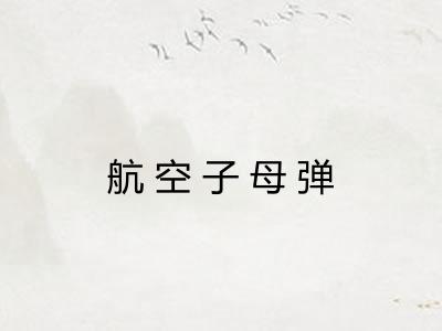 航空子母弹 航空子母弹