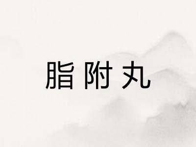 脂附丸 脂附丸