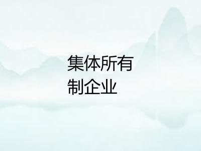 集体所有制企业 集体所有制企业