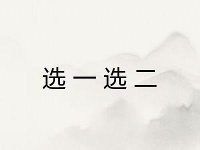 选一选二 选一选二