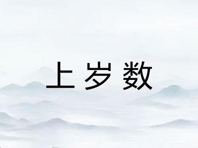 上岁数 上岁数