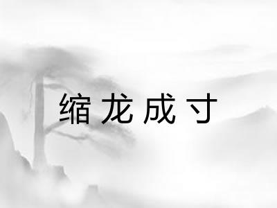 缩龙成寸 缩龙成寸
