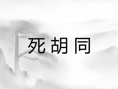 死胡同 死胡同