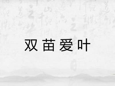双苗爱叶 双苗爱叶