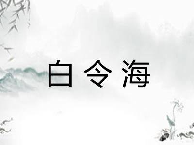 白令海 白令海