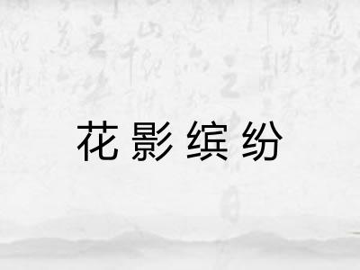 花影缤纷 花影缤纷