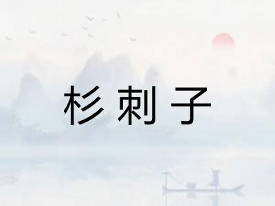 杉刺子