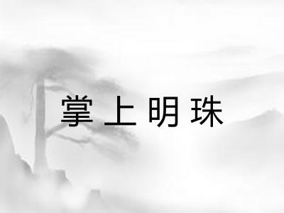 掌上明珠 掌上明珠