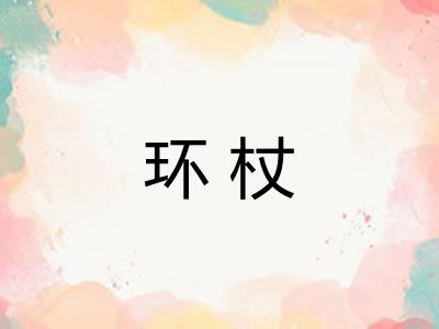 环杖