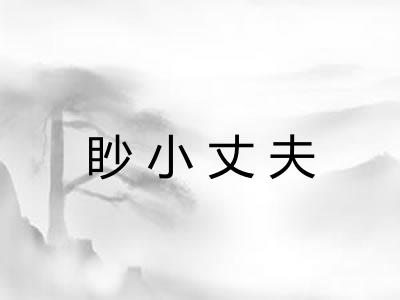眇小丈夫 眇小丈夫