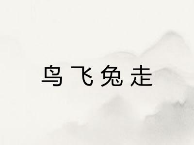 鸟飞兔走