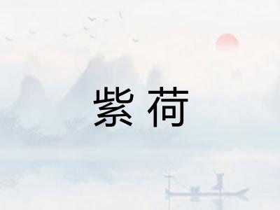 紫荷