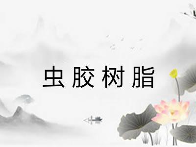 虫胶树脂 虫胶树脂