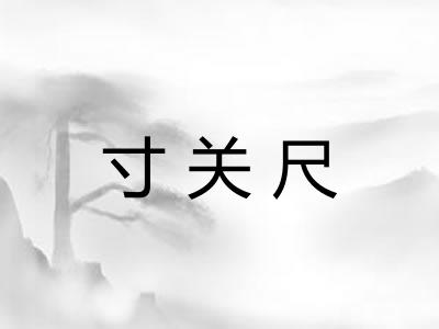 寸关尺 寸关尺