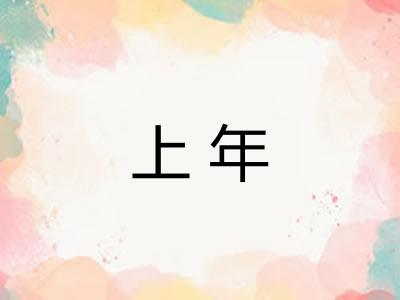 上年