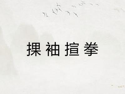 捰袖揎拳 捰袖揎拳