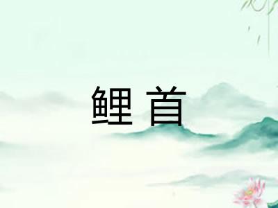 鲤首 鲤首