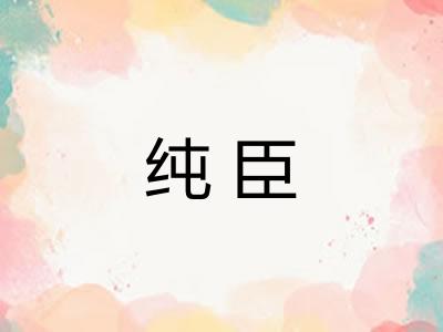 纯臣