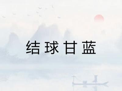 结球甘蓝 结球甘蓝