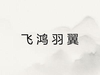 飞鸿羽翼 飞鸿羽翼