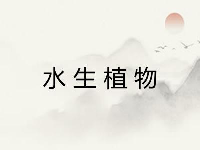 水生植物 水生植物
