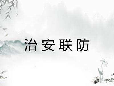 治安联防 治安联防