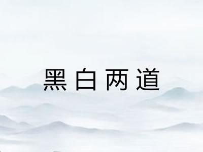黑白两道 黑白两道