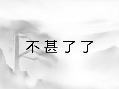 不甚了了 不甚了了