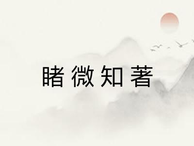 睹微知著 睹微知著