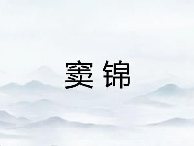 窦锦