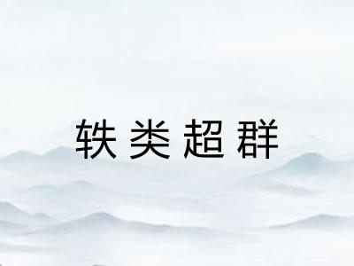轶类超群 轶类超群