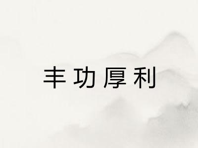 丰功厚利 丰功厚利