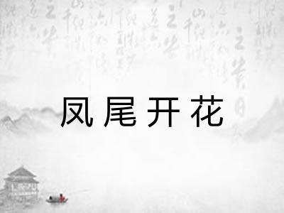 凤尾开花 凤尾开花