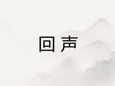 回声 回声