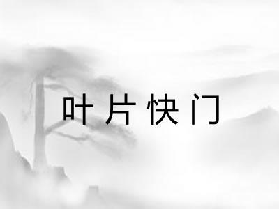 叶片快门 叶片快门