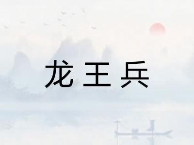 龙王兵