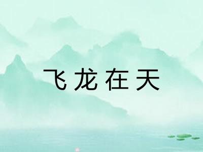 飞龙在天