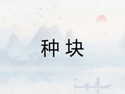种块 种块