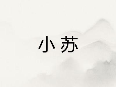 小苏
