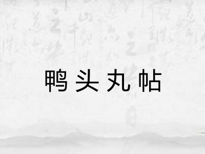 鸭头丸帖 鸭头丸帖