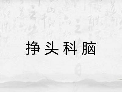 挣头科脑 挣头科脑