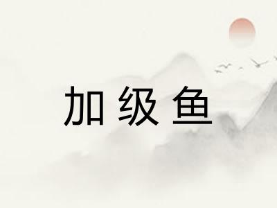 加级鱼 加级鱼