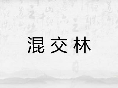 混交林 混交林