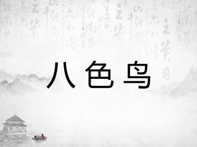 八色鸟 八色鸟