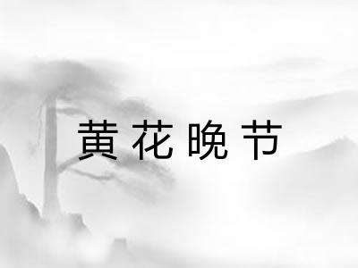 黄花晚节 黄花晚节