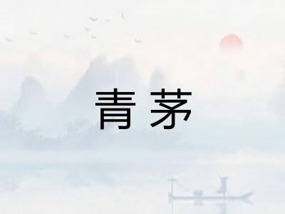 青茅 青茅