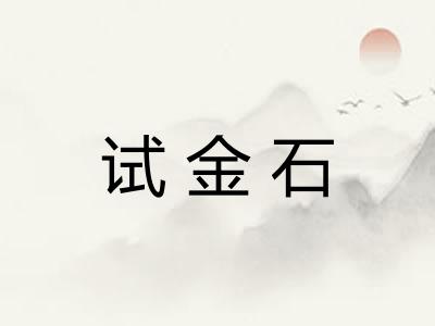 试金石