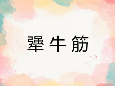 犟牛筋 犟牛筋